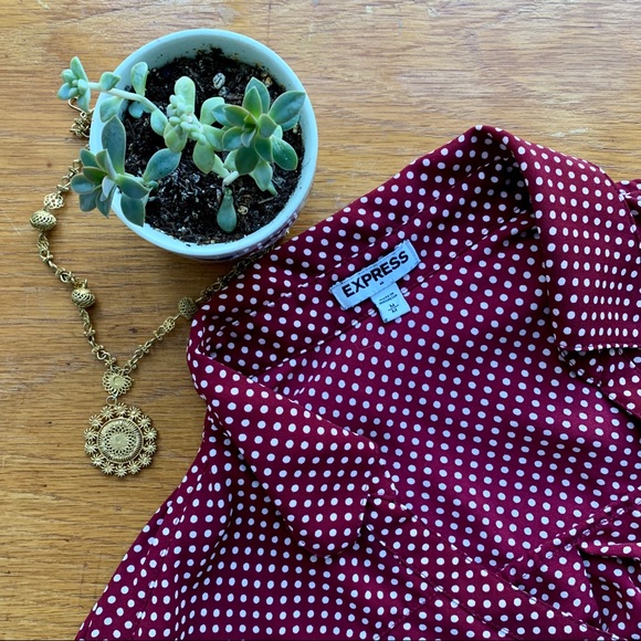 Express Tops - Express Long Sleeved Button Down